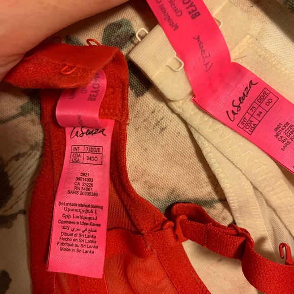 34DD Bras - Picture 4 of 5